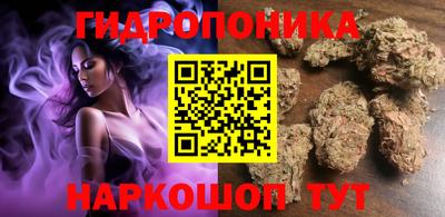 твердый Новодвинск