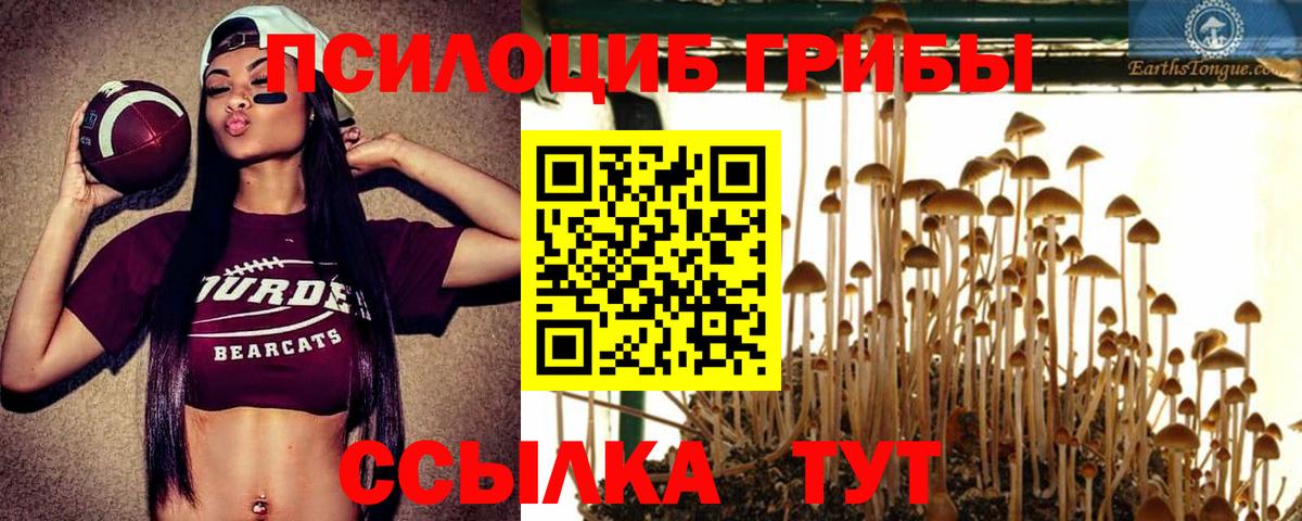 Псилоцибиновые грибы прущие грибы Севастополь