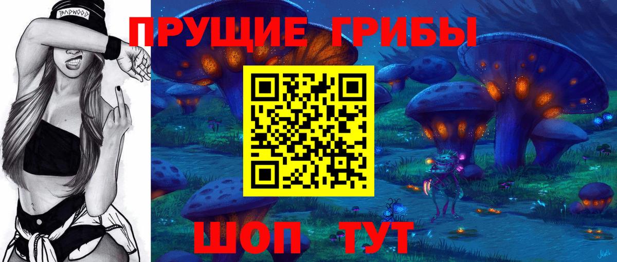 Псилоцибиновые грибы Cubensis  Вход с VPN  Севастополь 